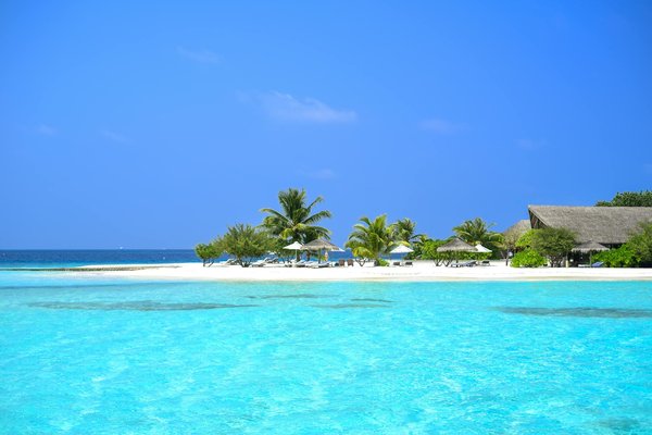 Les gîtes ruraux : une immersion totale dans la nature